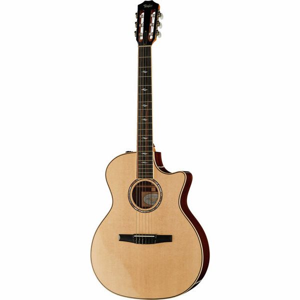 Nylon String Gitarren (electro-akustic)