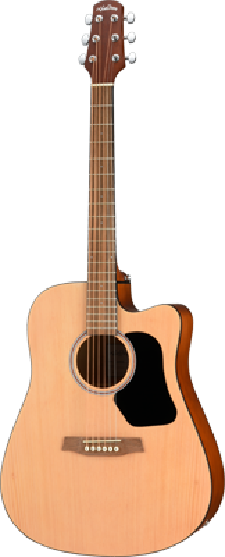 Steel String Gitarren (electro-akustic)