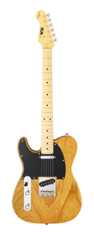 Preview: FGN E-Gitarre, Neo Classic TE100, SS FGN Pickups, VN, Gigbag, Linkshän