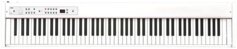 Preview: KORG Digitalpiano, D1, Stagepiano, 88 Tasten, weiß