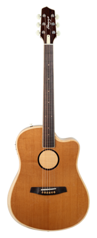 Preview: L.R.BAGGS Westerngitarre, AEG1, Natur torrefiziert, Preamp, Softcase