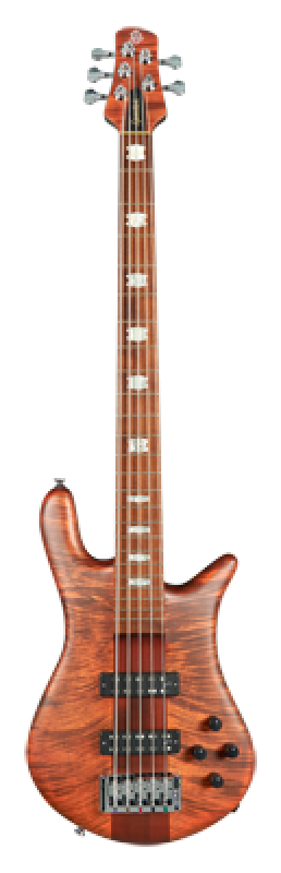 Preview: SPECTOR Bassgitarre, Euro5 RST Limited, 5-Saiter, aktiv, Sienna Stain
