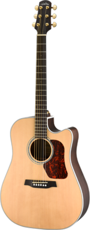 Preview: WALDEN Westerngitarre, Dreadnought Cut, Decke massiv, Satinlack, EQ, T