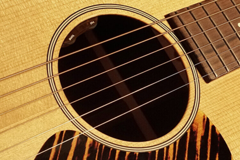 Preview: L.R.BAGGS Pickup, EAS VTC Set, Volume/Tone, für Westerngitarre