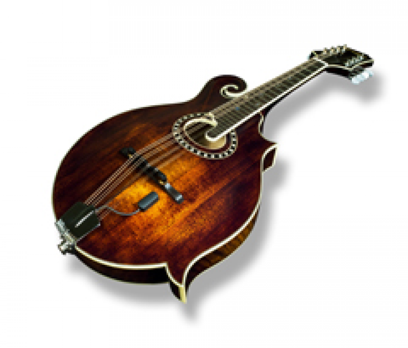 Preview: L.R.BAGGS Pickup, Radius-M, für Mandoline, mit Buchse