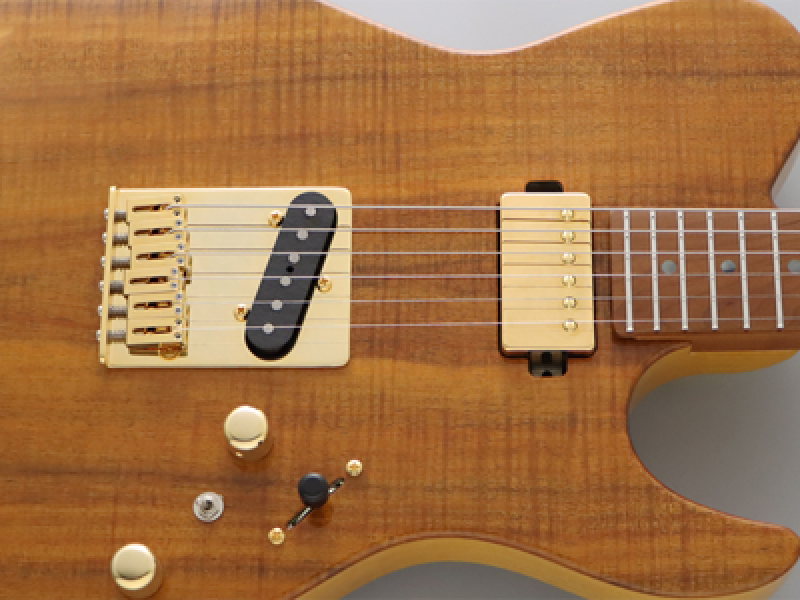 Preview: FGN E-Gitarre, Expert Iliad EW, Vintage Natural, Koffer