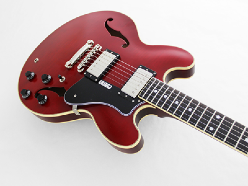 Preview: FGN E-Gitarre, Masterfield Semi, HH, Cherry, Koffer