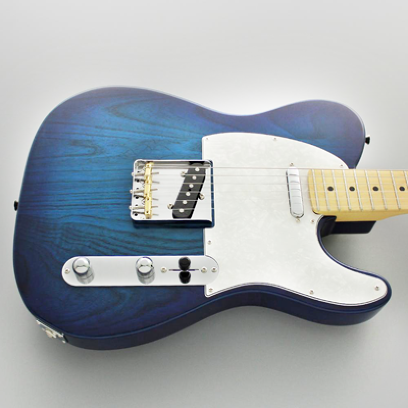 Preview: FGN E-Gitarre, Neo Classic TE100, SS FGN Pickups, See-Thru Blue Burst,