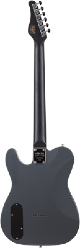 Preview: SCHECTER E-Gitarre, PT EX, Dorian Grey