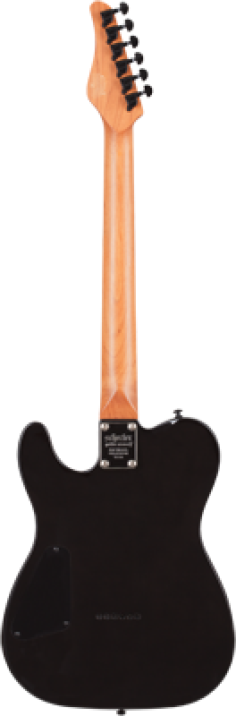 Preview: SCHECTER E-Gitarre, PT Standard, Black Fade Burst Burl