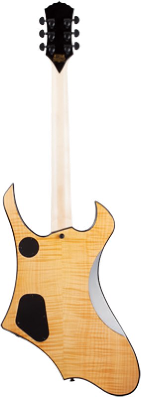 Preview: SCHECTER E-Gitarre, Wylde Audio, Goregehn, Rawtop Bullseye