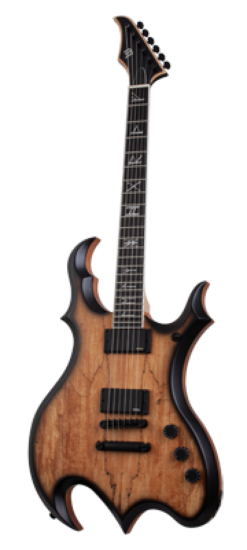 Preview: SCHECTER E-Gitarre, Wylde Audio, Wrathmaker, Spalted Maple, Black Burs