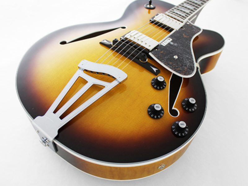 Preview: FGN E-Gitarre, Masterfield Jazz, HH, Jazz Burst, Koffer