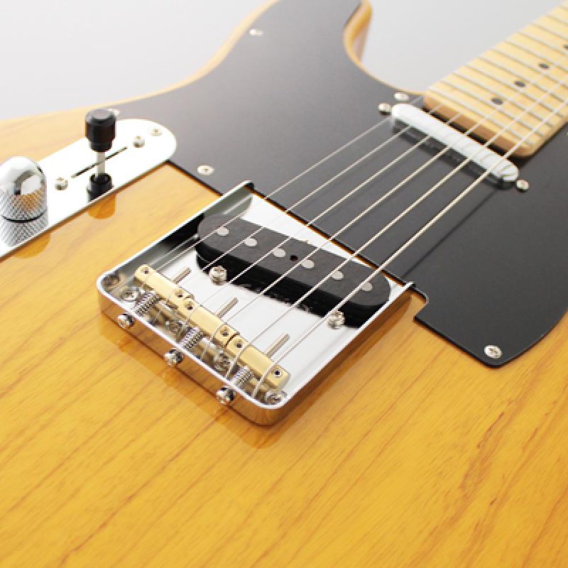 Preview: FGN E-Gitarre, Neo Classic TE100, SS FGN Pickups, VN, Gigbag, Linkshän