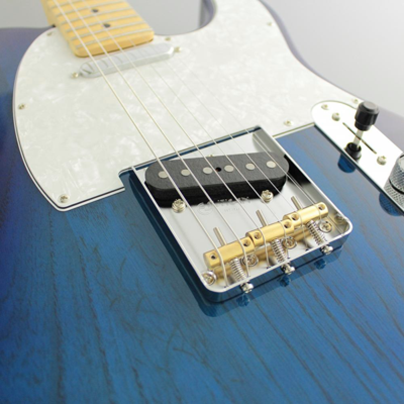 Preview: FGN E-Gitarre, Neo Classic TE100, SS FGN Pickups, See-Thru Blue Burst,