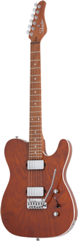 SCHECTER E-Gitarre, PT Van Nuys, Gloss Natural Ash