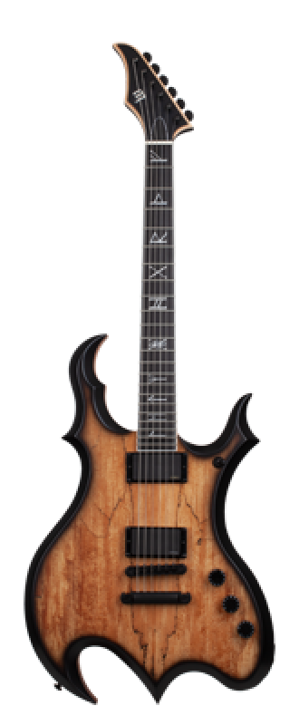 SCHECTER E-Gitarre, Wylde Audio, Wrathmaker, Spalted Maple, Black Burs
