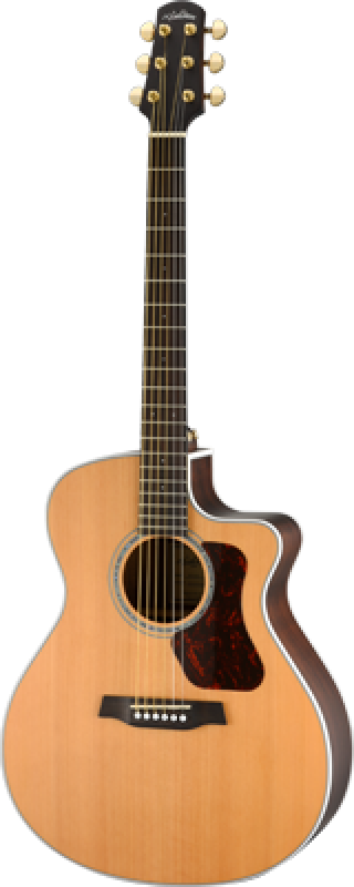 WALDEN Westerngitarre, Grand Auditorium Cut, Decke massiv, Satinlack,