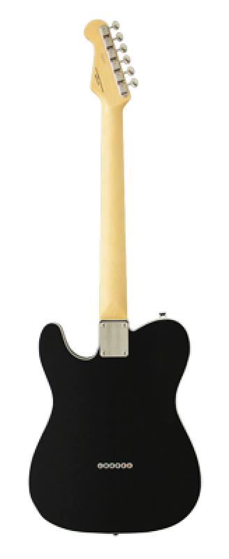 FGN E-Gitarre, Neo Classic TE210, SH Seymour Duncan PU, Black, Gigbag