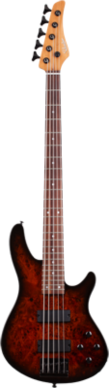 Preview: SCHECTER Bassgitarre, C-5 Standard, Tobacco Burl