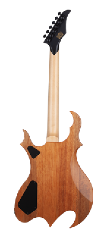 SCHECTER E-Gitarre, Wylde Audio, Wrathmaker, Spalted Maple, Black Burs