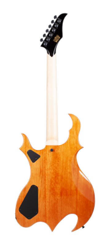 SCHECTER E-Gitarre, Wylde Audio, Wrathmaker, Tortoise Shell, Corridors