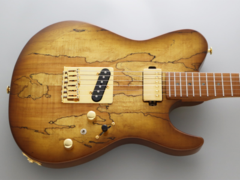 Preview: FGN E-Gitarre, Expert Iliad EW, Hojicha Burst, Koffer