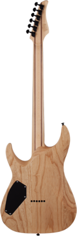 SCHECTER E-Gitarre, Reaper 6, Charcoal Burst