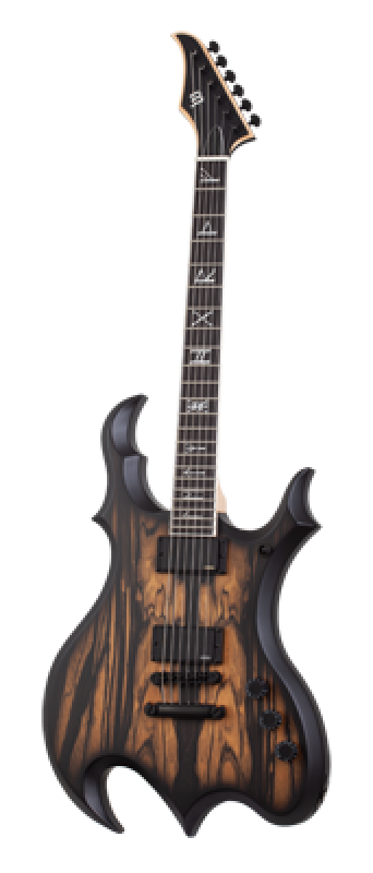 SCHECTER E-Gitarre, Wylde Audio, Wrathmaker, Pale Moon Ebony, Black Bu