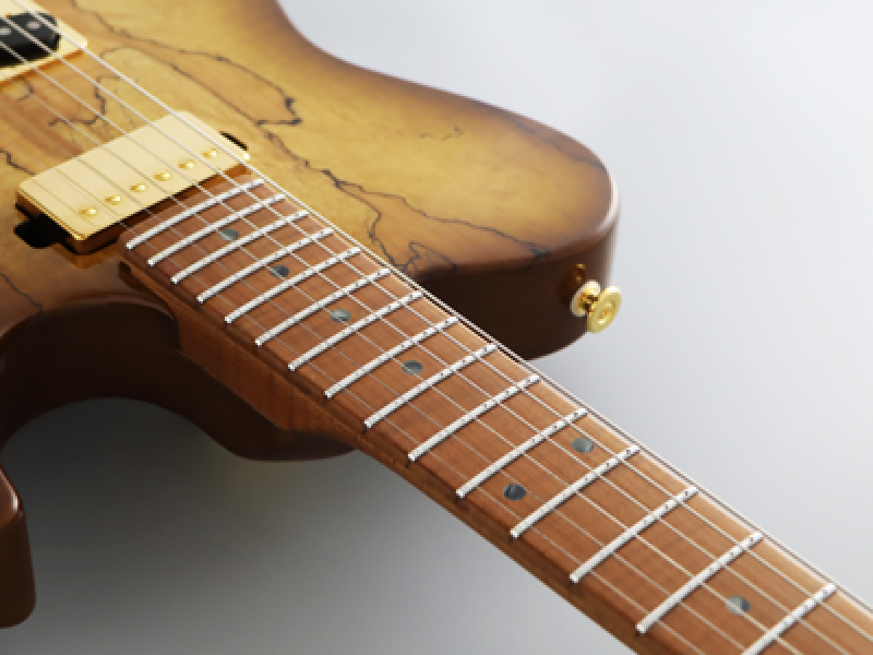 Preview: FGN E-Gitarre, Expert Iliad EW, Hojicha Burst, Koffer