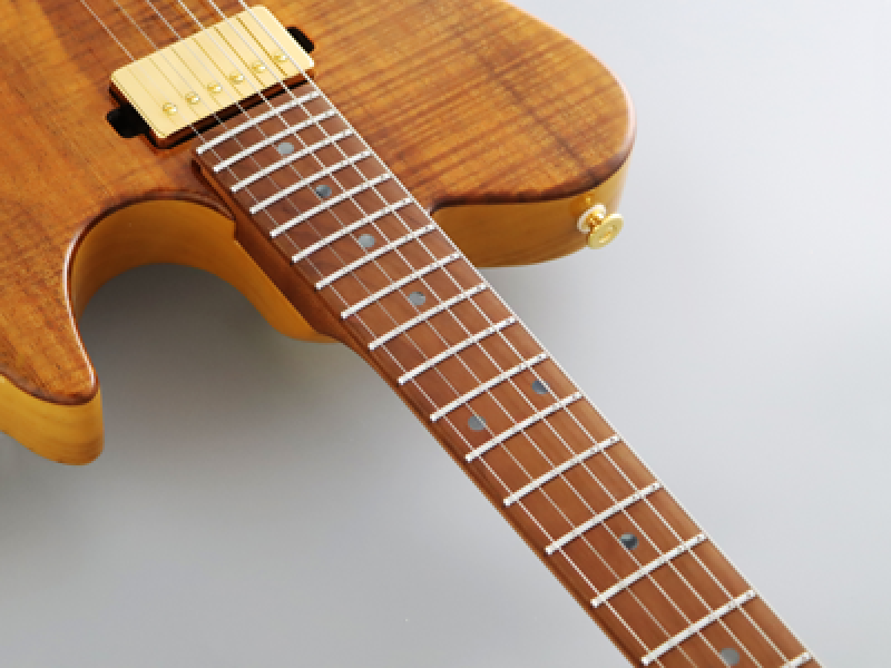 Preview: FGN E-Gitarre, Expert Iliad EW, Vintage Natural, Koffer