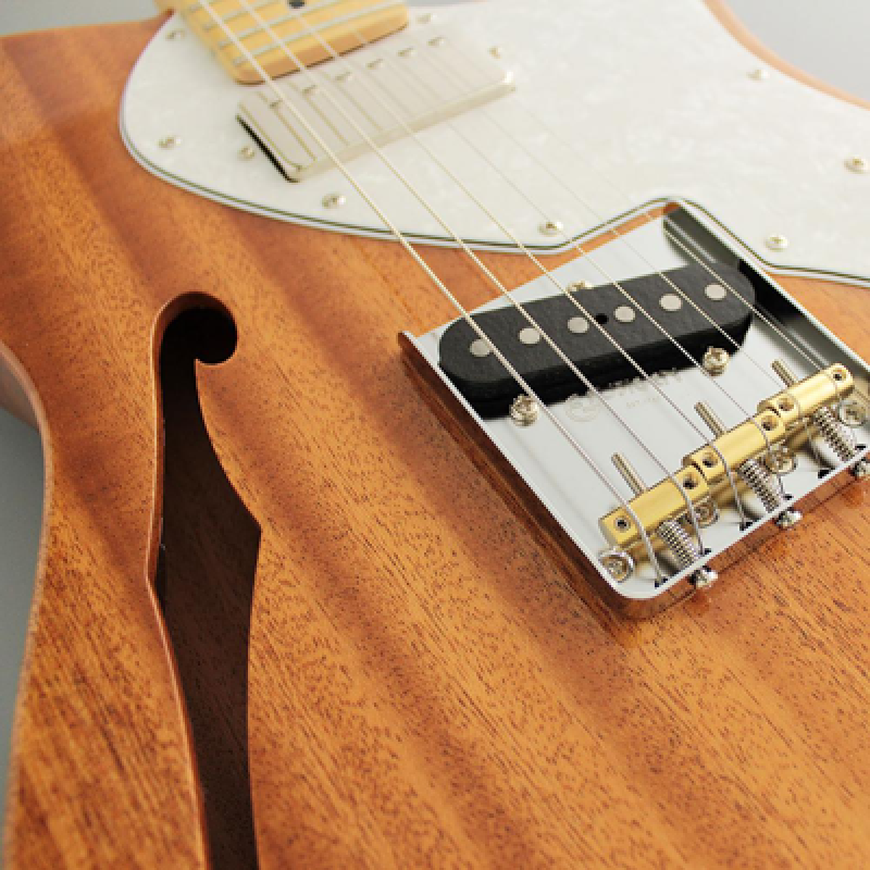 FGN E-Gitarre, Neo Classic TE110, SH FGN PU, F-Loch, Natural, Gigbag