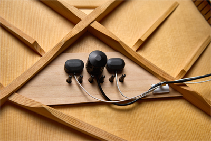 L.R.BAGGS Pickup, HiFi Duet, Hybrid Tonabnehmer System für Akustikgita