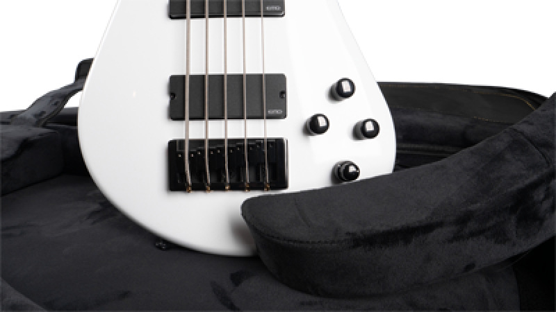 SPECTOR Tasche, Deluxe Gigbag, Schwarz mit Logo