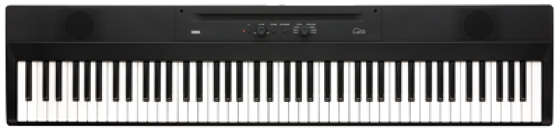 KORG Digitalpiano, Liano, 8 Watt, USB, schwarz