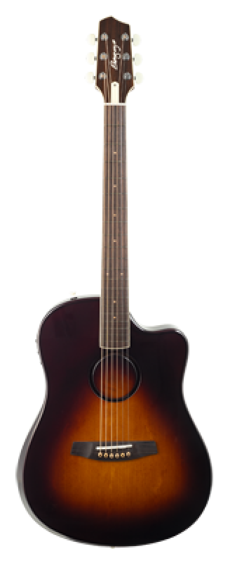 L.R.BAGGS Westerngitarre, AEG1, Sunburst, Preamp, Softcase