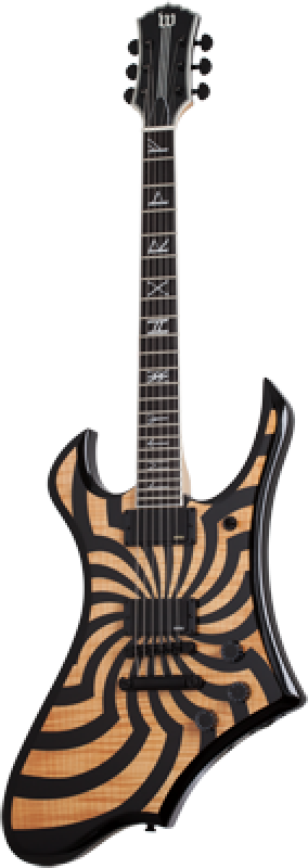 SCHECTER E-Gitarre, Wylde Audio, Goregehn, Rawtop Bullseye