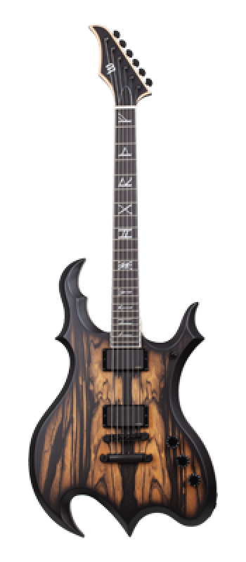 SCHECTER E-Gitarre, Wylde Audio, Wrathmaker, Pale Moon Ebony, Black Bu