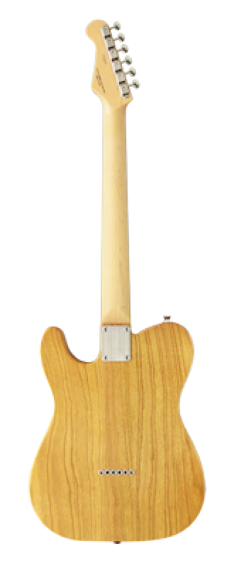 FGN E-Gitarre, Neo Classic TE100, SS FGN Pickups, Vintage Natural, Gig