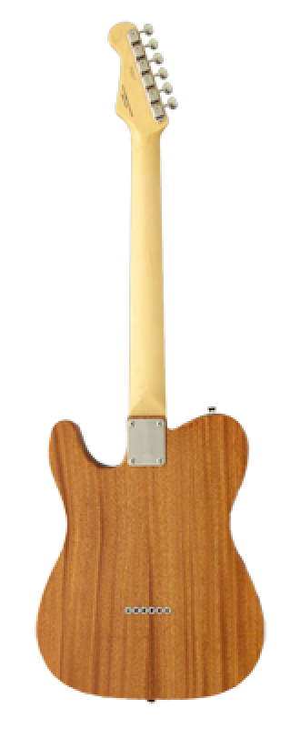 FGN E-Gitarre, Neo Classic TE110, SH FGN PU, F-Loch, Natural, Gigbag