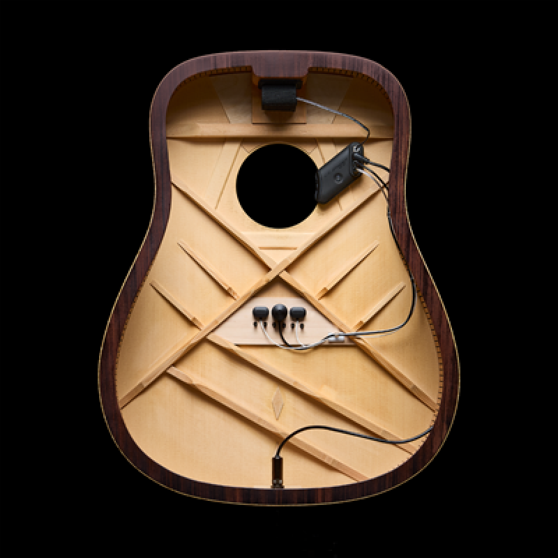 L.R.BAGGS Pickup, HiFi Duet, Hybrid Tonabnehmer System für Akustikgita