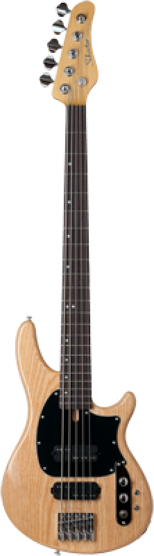 SCHECTER Bassgitarre, CV-5, Gloss Natural