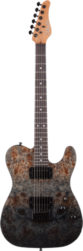 SCHECTER E-Gitarre, PT Standard, Black Fade Burst Burl