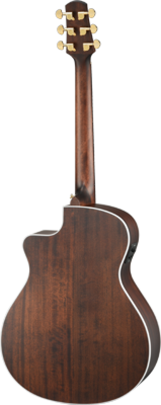 WALDEN Westerngitarre, Grand Auditorium Cut, Decke massiv, Satinlack,