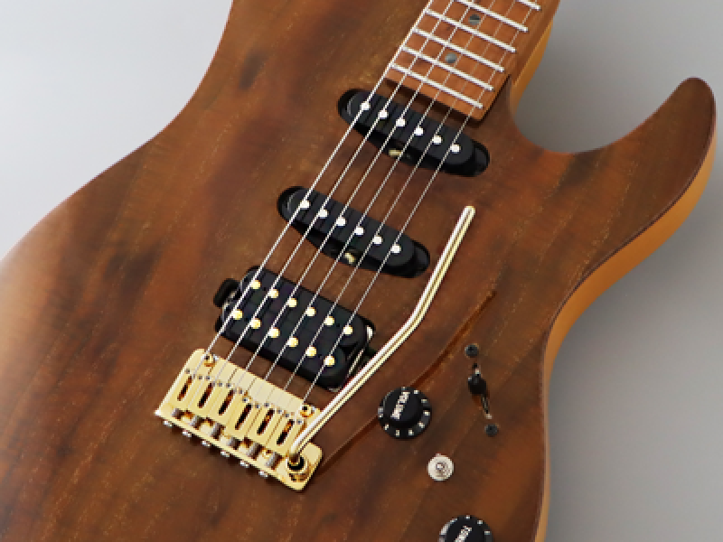 FGN E-Gitarre, Expert Odyssey DU EW, Vintage Natural, Koffer