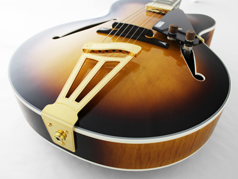 FGN E-Gitarre, Masterfield Jazz, FP, Jazz Burst, Koffer