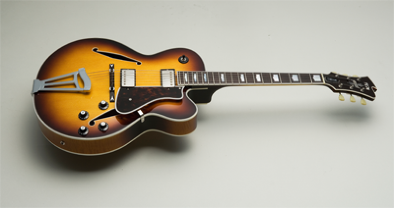 FGN E-Gitarre, Masterfield Jazz, HH, Jazz Burst, Koffer