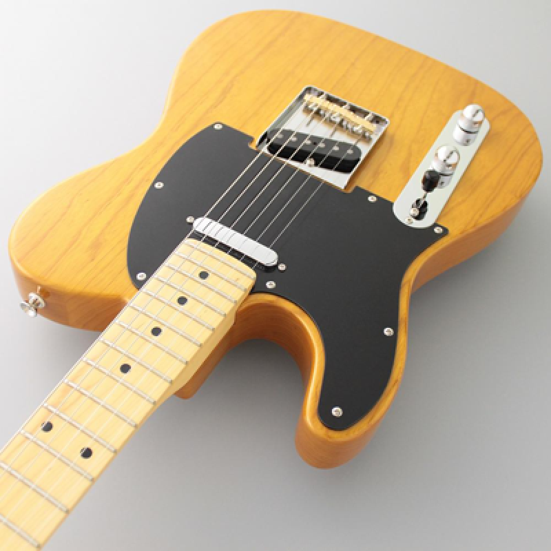 FGN E-Gitarre, Neo Classic TE100, SS FGN Pickups, VN, Gigbag, Linkshän