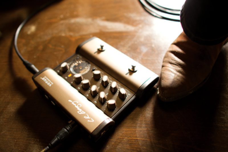 L.R.BAGGS Preamp, Venue DI, DI-Pedal, 5-Band EQ, Notch Filter, f. Akus