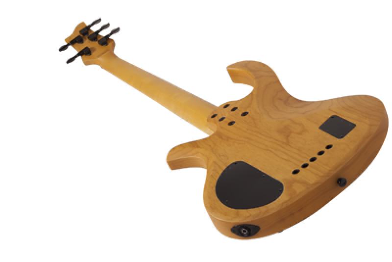 SCHECTER Bassgitarre, Riot Session-5, Aged Natural Satin